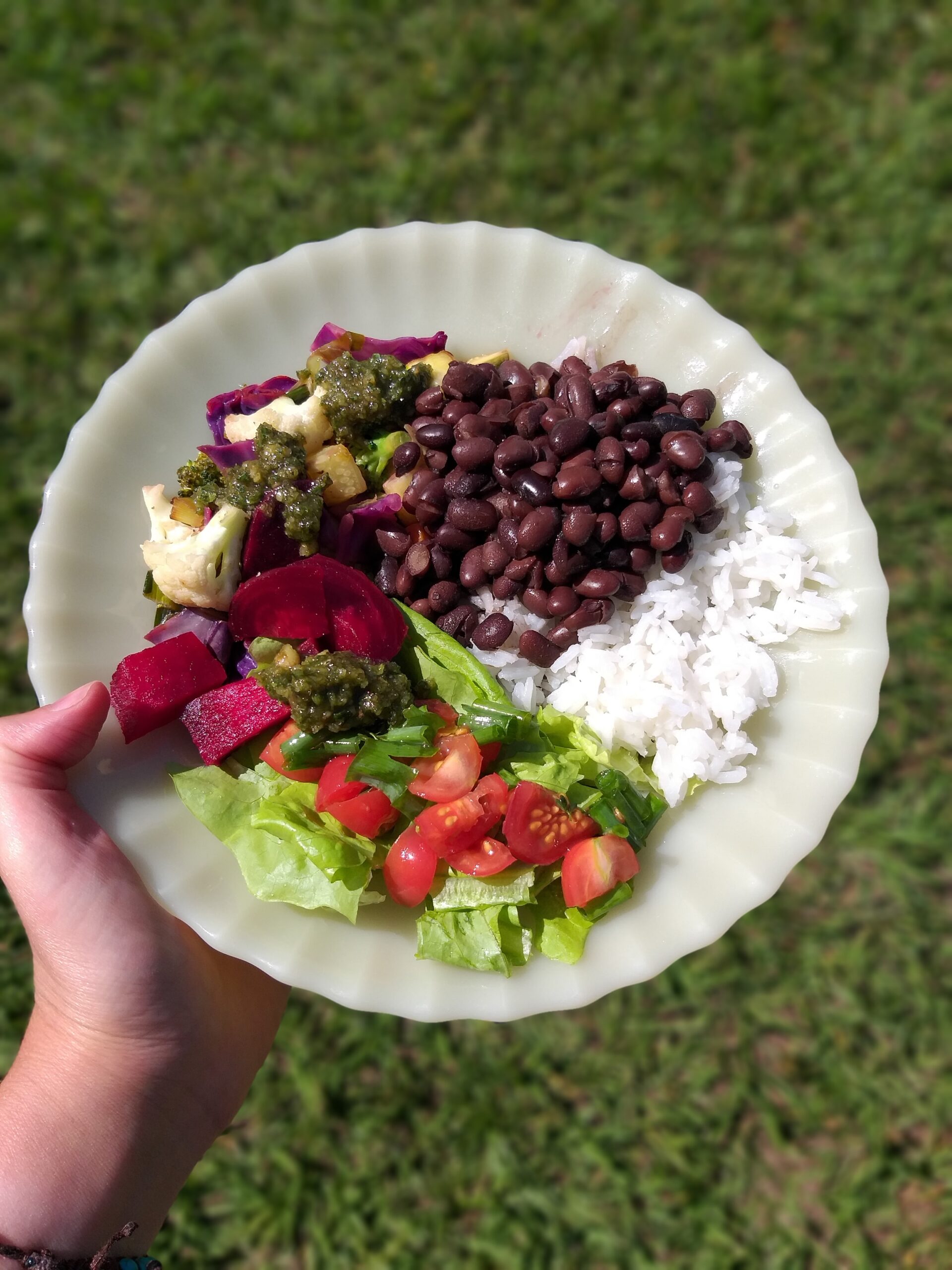 Alimento, combustível para o corpo